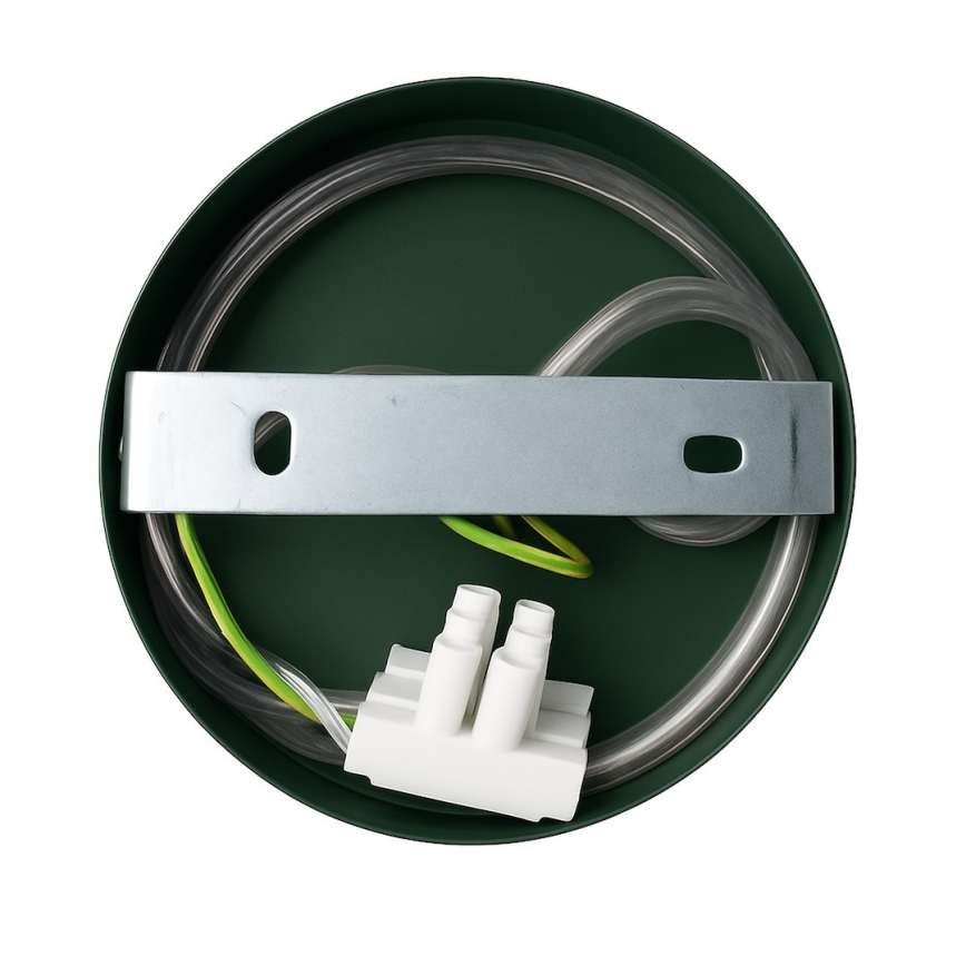 Applique murale CAPITAL 1xGX53/15W/230V verte