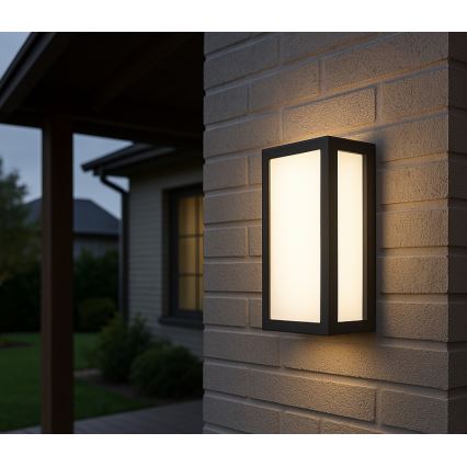 Applique murale d'extérieur ENTERA LED/10W/230V 4000K IP54
