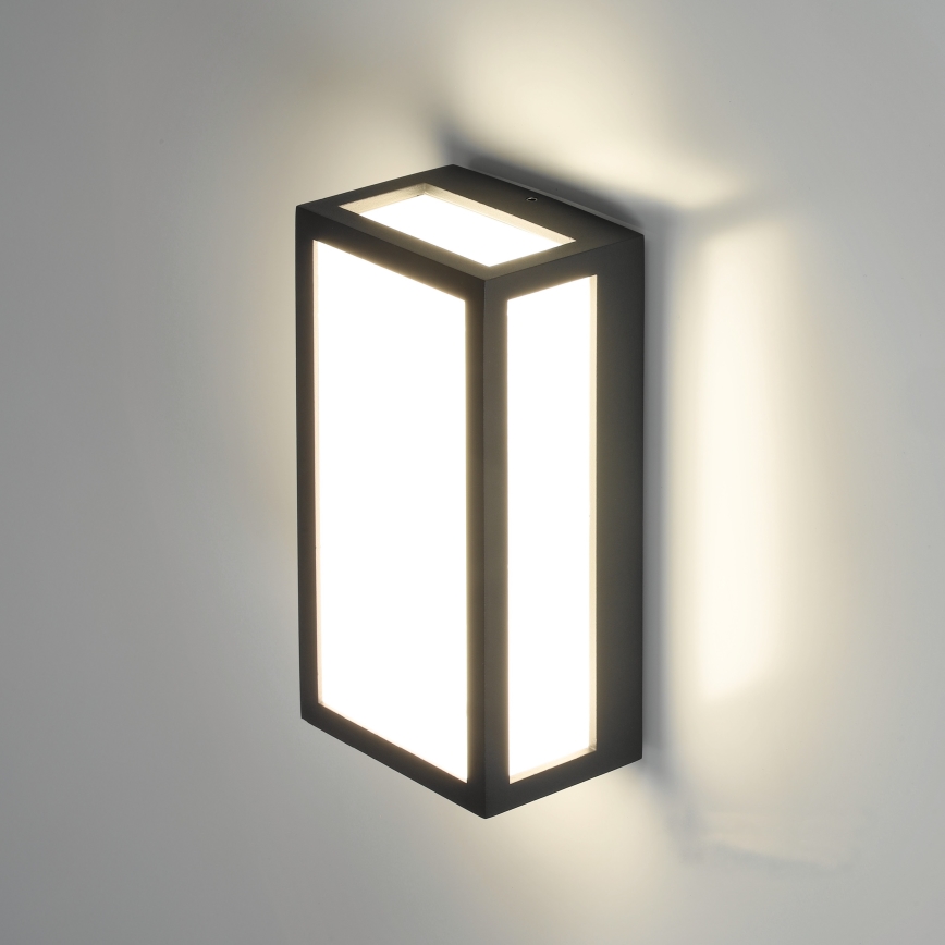 Applique murale d'extérieur ENTERA LED/10W/230V 4000K IP54