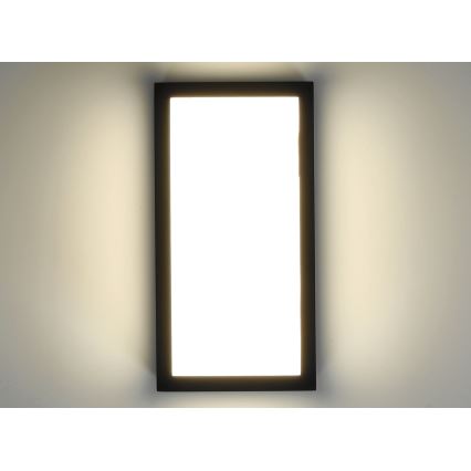 Applique murale d'extérieur ENTERA LED/10W/230V 4000K IP54