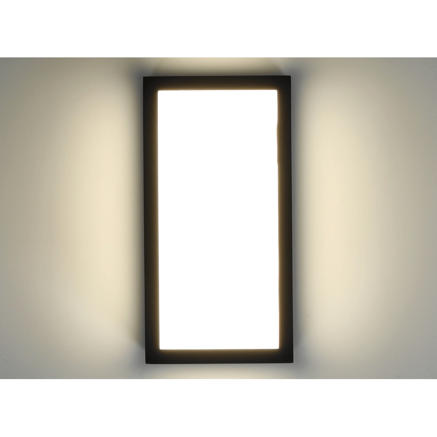 Applique murale d'extérieur ENTERA LED/10W/230V 4000K IP54
