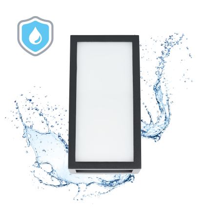 Applique murale d'extérieur ENTERA LED/10W/230V 4000K IP54
