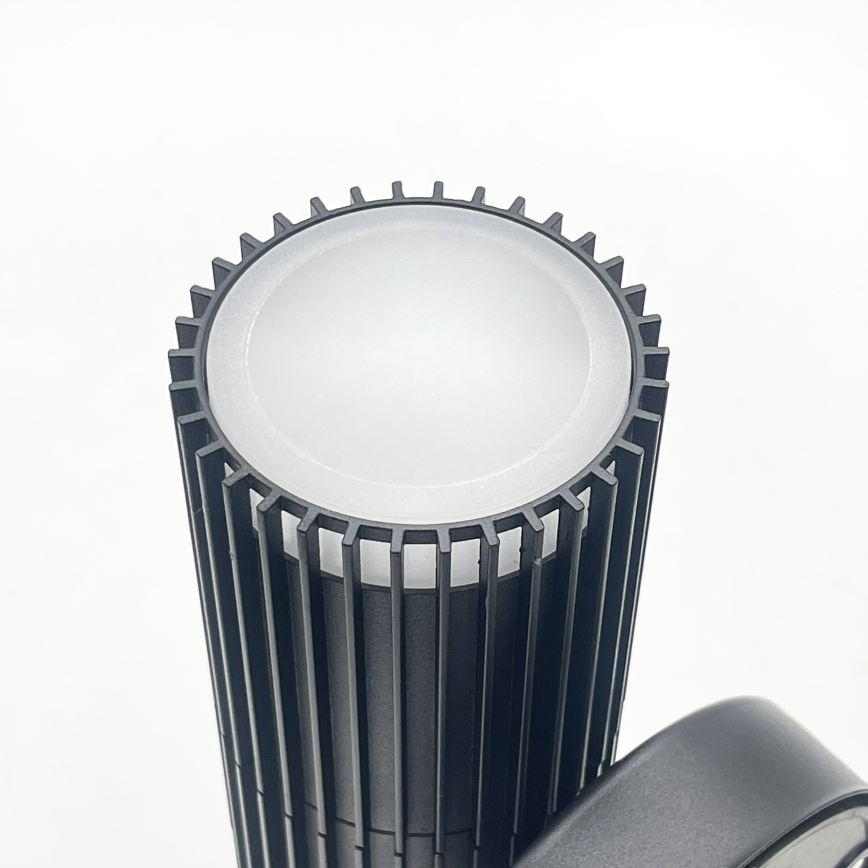 Applique murale d'extérieur LANTHEA 1xGU10/11W/230V IP44 noire