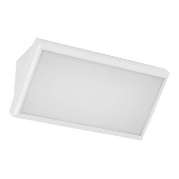 Applique murale d'extérieur LED/20W/230V 6400K IP65 blanc