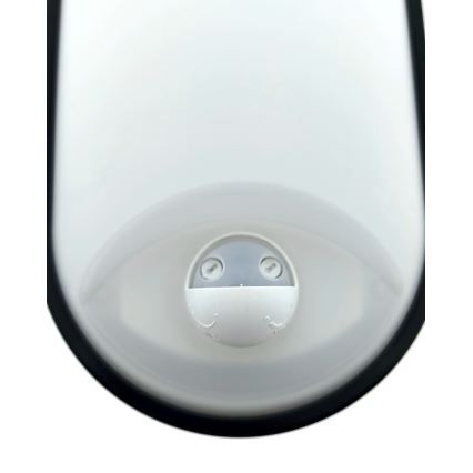 Applique murale d'extérieur LED dimmable avec détecteur de mouvement LED/12/15/18W/230V 3000K/4000K/6500K IP65 noir/blanc