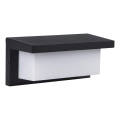 Applique murale d'extérieur LERTO 1xE27/15W/230V IP54 noire