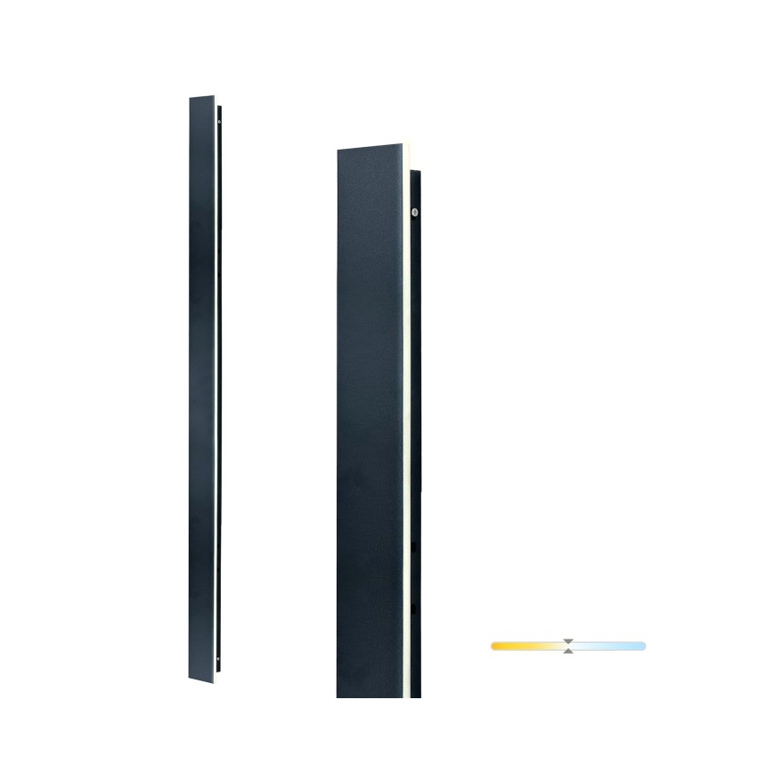 Applique murale d'extérieur MIRANA LED/25W/230V 4000K IP44 120 cm noire