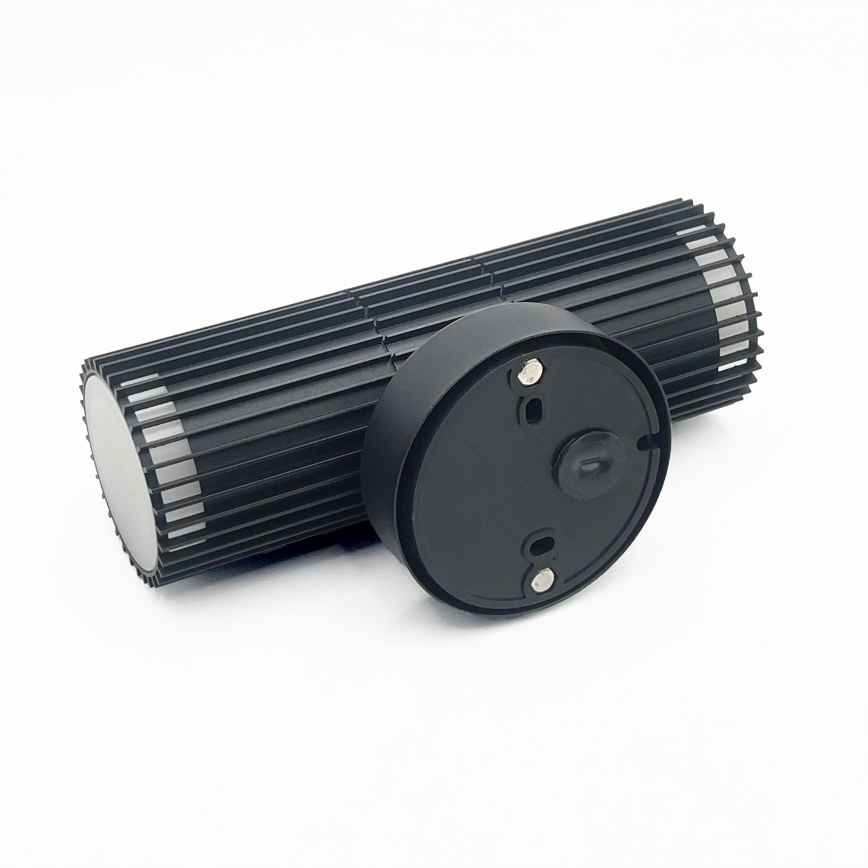 Applique murale d'extérieur orientable LANTHEA 2xGU10/11W/230V IP44 noir