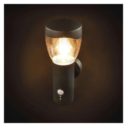 Applique murale extérieure avec détecteur ARTEO 1xE27/15W/230V IP44