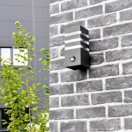Applique murale extérieure avec détecteur TEKSAS 1xE27/12W/230V IP44 anthracite