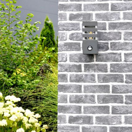 Applique murale extérieure avec détecteur TEKSAS 1xE27/12W/230V IP44 anthracite