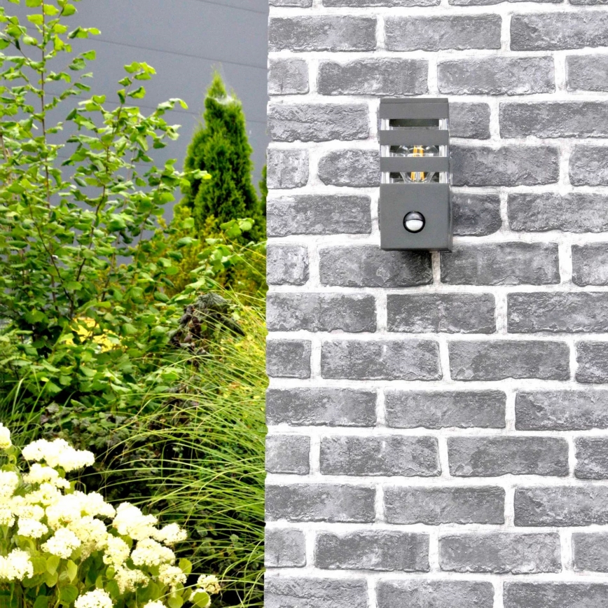 Applique murale extérieure avec détecteur TEKSAS 1xE27/12W/230V IP44 anthracite