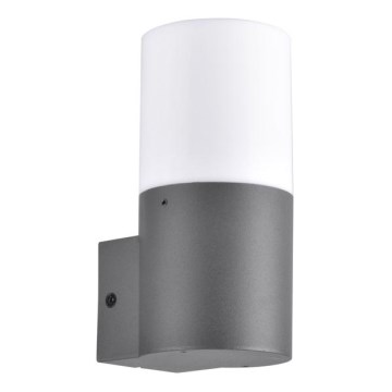 Applique murale extérieure DALLAS 1xE27/12W/230V IP44 graphite
