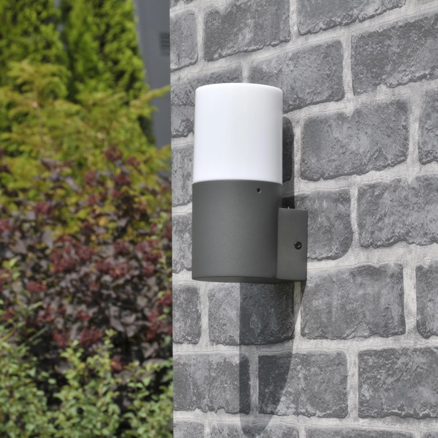 Applique murale extérieure DALLAS 1xE27/12W/230V IP44 graphite