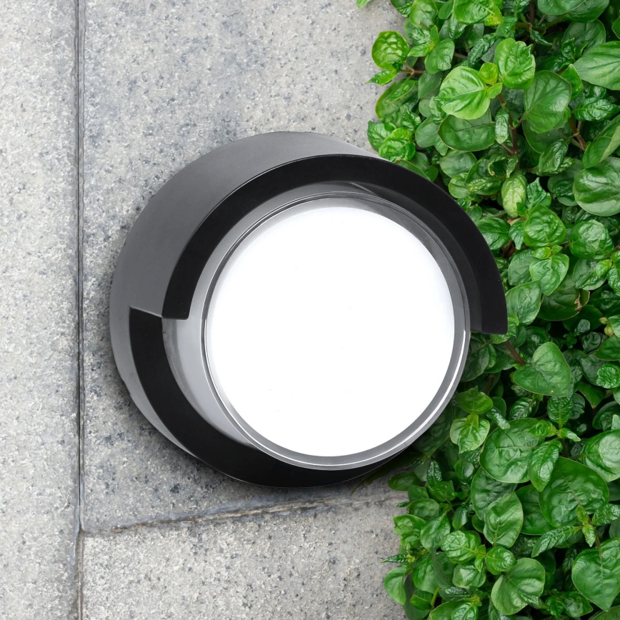 Applique murale extérieure ESSEN LED/10W/230V IP44 noir
