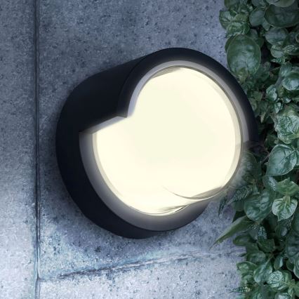 Applique murale extérieure ESSEN LED/10W/230V IP44 noir