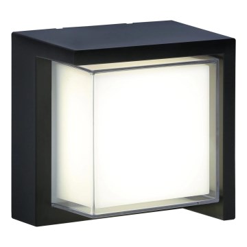Applique murale extérieure ESSEN LED/12W/230V IP44 noir