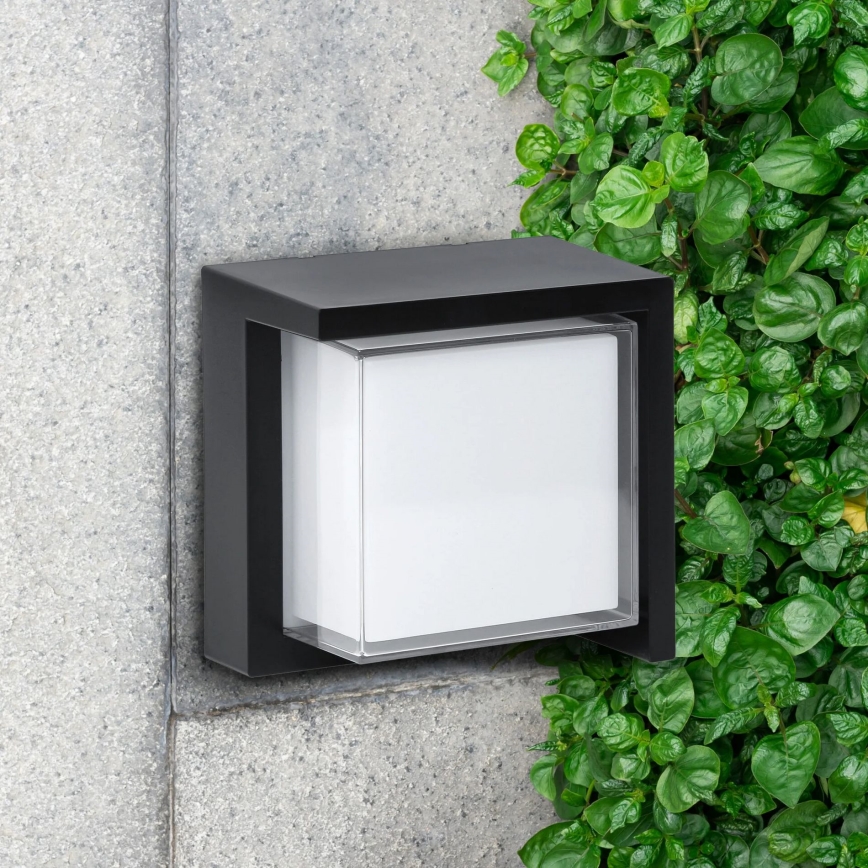 Applique murale extérieure ESSEN LED/12W/230V IP44 noir