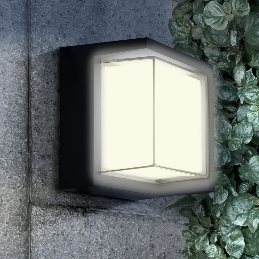 Applique murale extérieure ESSEN LED/12W/230V IP44 noir