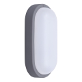 Applique murale extérieure LED/20W/230V 4000K IP54 gris ovale