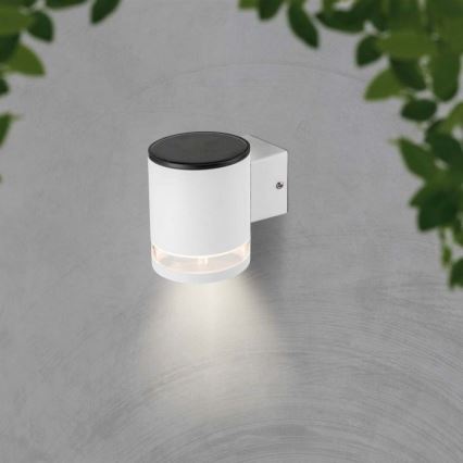 Applique murale extérieure solaire LED/1W/3,7V 3000K IP54 1200 mAh blanc
