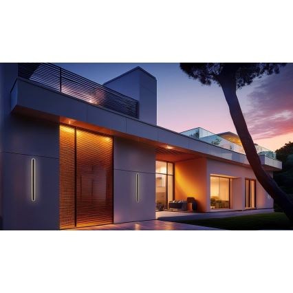 Applique murale extérieure STICK LED/12W/230V IP65 3000K 60 cm