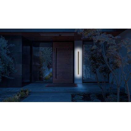 Applique murale extérieure STICK LED/12W/230V IP65 3000K 60 cm