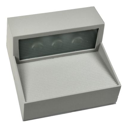Applique murale LED d'extérieur CARRI LED/3W/230V IP54