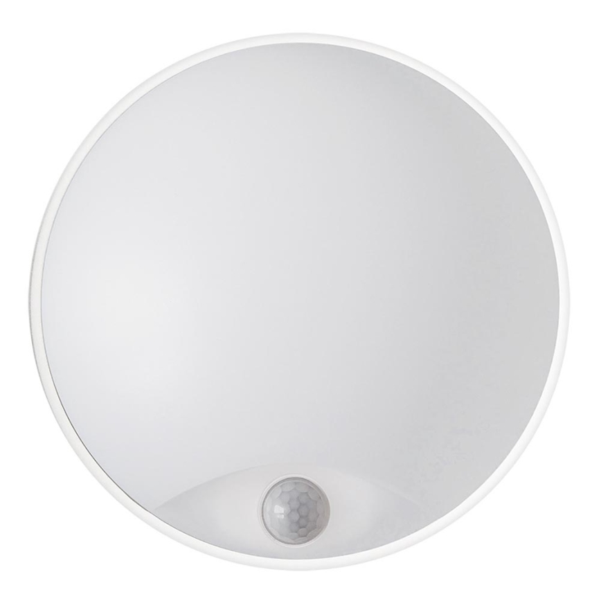 Applique murale LED d'extérieur LED/14W/230V IP54