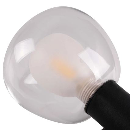 Applique murale pour salle de bains POLA 2xG9/5W/230V IP44 noire/transparente