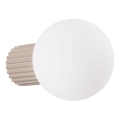Applique murale salle de bain HALO 1xG9/8W/230V d. 12 cm IP44 beige
