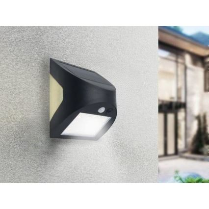 Applique murale solaire LED avec capteur — LED 3 W / 3,7 V / 3000/4000 K / 1200 mAh / IP54, noire