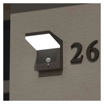 Applique murale solaire avec détecteur LED/4,4W/3,7V 2200 mAh IP44