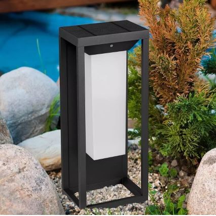 Applique murale solaire avec détecteur SAMSUNG CHIP LED/2W/3,7V IP65 2600 mAh