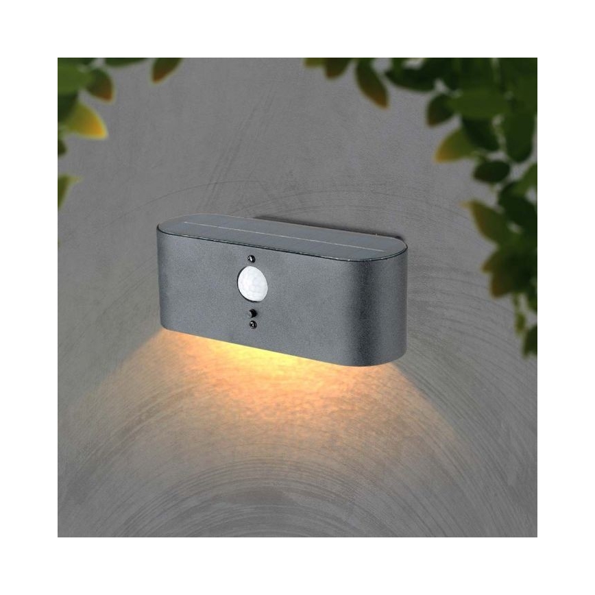 Applique murale solaire extérieure avec détecteur LED/2,5W/3,7V 3000K IP54