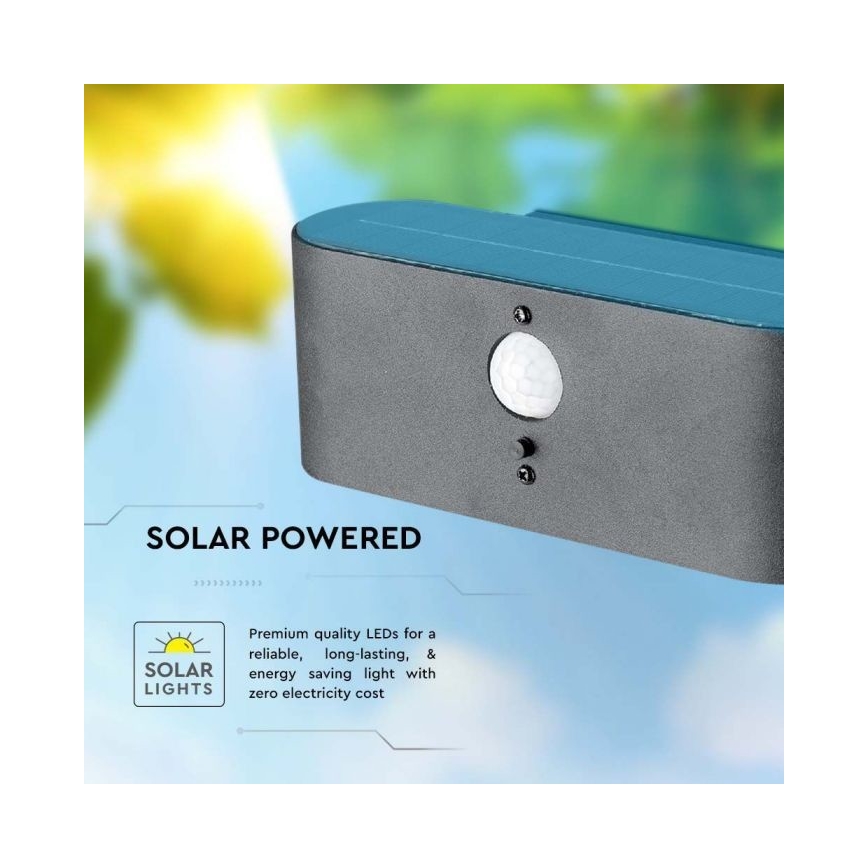 Applique murale solaire extérieure avec détecteur LED/2,5W/3,7V 3000K IP54