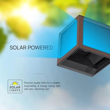 Applique murale solaire LED avec capteur LED/9W/3,7V 3000/4000/6000K IP65 2600 mAh marron