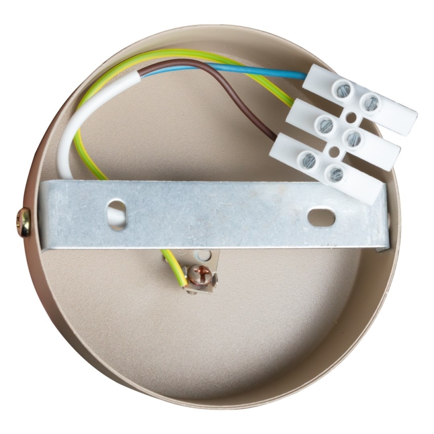 Applique murale spot DEX 1xE14/10W/230V beige/crème