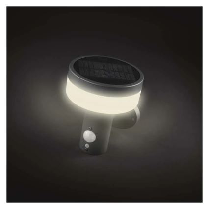 Applique murale solaire LED avec capteur LED/2W/3,7V 1200 mAh IP44