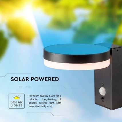 Applique murale solaire LED extérieure avec capteur LED/5,5W/3,7V 3000K IP54 2000 mAh