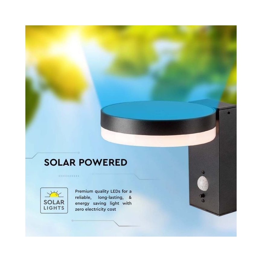 Applique murale solaire LED extérieure avec capteur LED/5,5W/3,7V 3000K IP54 2000 mAh