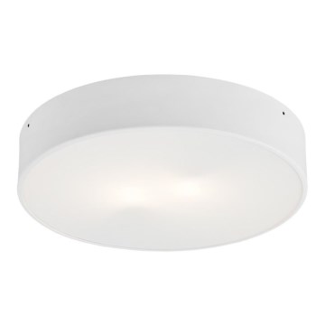 Argo - LED Plafondverlichting DARLING LED / 25W / 230V