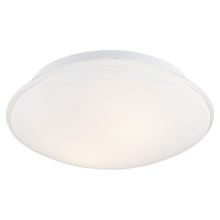 Argon 0694 - Plafondlamp GIN 2xE27/15W/230V wit