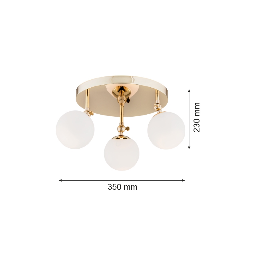 Argon 1435 - Plafonnier en saillie LATINA pour salle de bains, 3xE14/40W/230V, IP44
