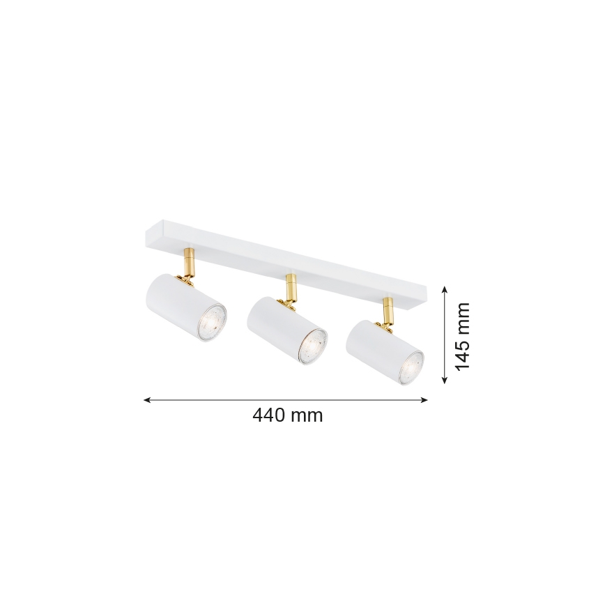 Argon 1475 - Spot LAGOS 3xGU10/5W/230V wit / goud