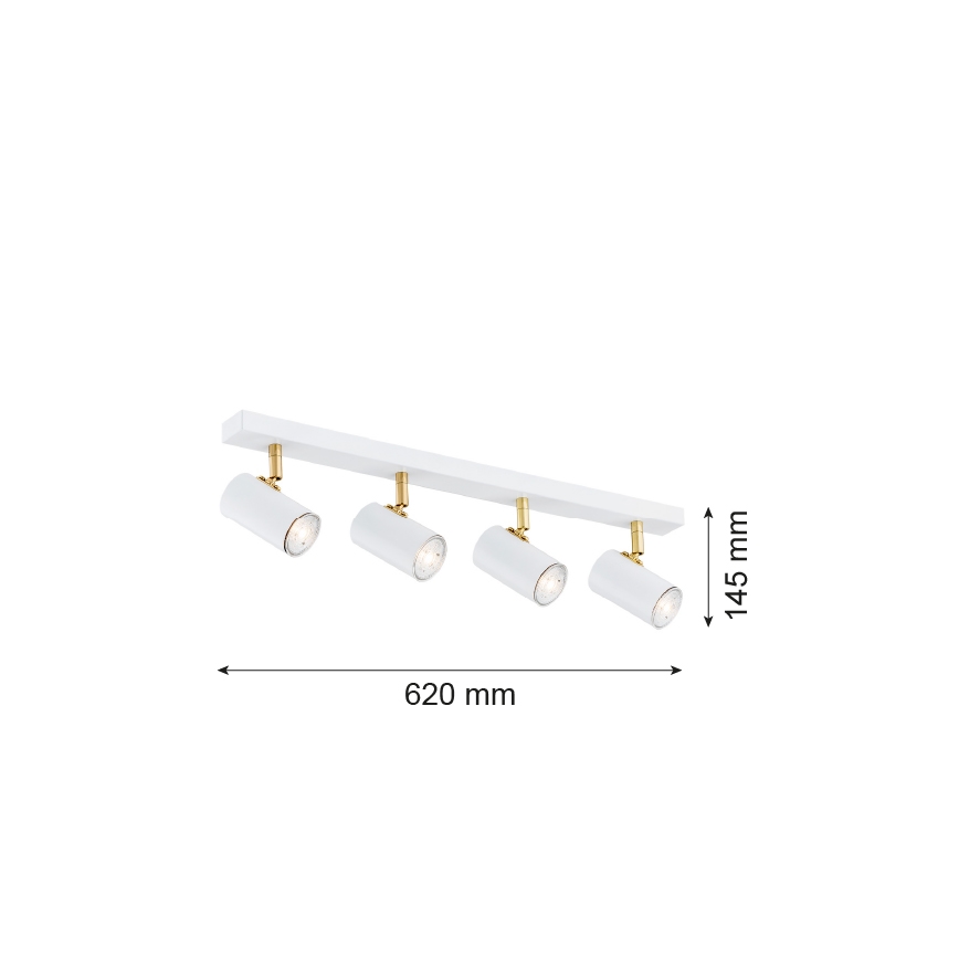 Argon 1689 - Spot LAGOS 4xGU10/5W/230V wit / goud