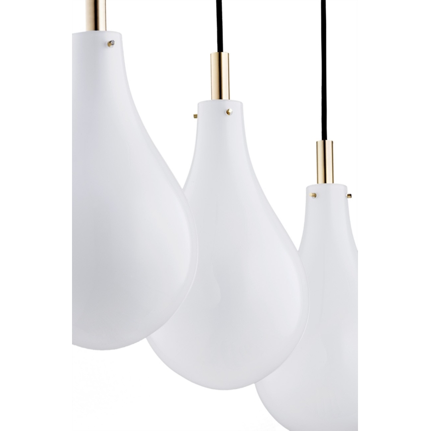 Argon 1741 - Hanglamp aan een koord OAKLAND 4xG9/6W/230V
