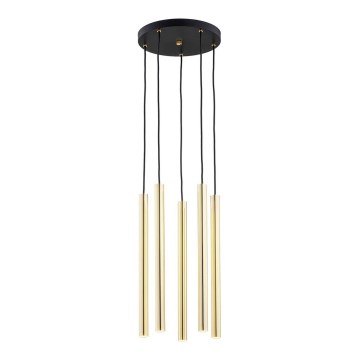 Argon 2109 - LED Hanglamp aan een koord SICILIA 5xLED/4,5W/230V