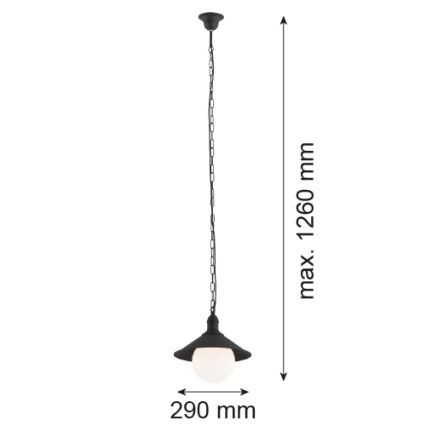 Argon 3285 - Buiten kroonluchter ERBA BIS 1xE27/60W/230V