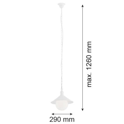 Argon 3296 - Buiten kroonluchter ERBA BIS 1xE27/60W/230V